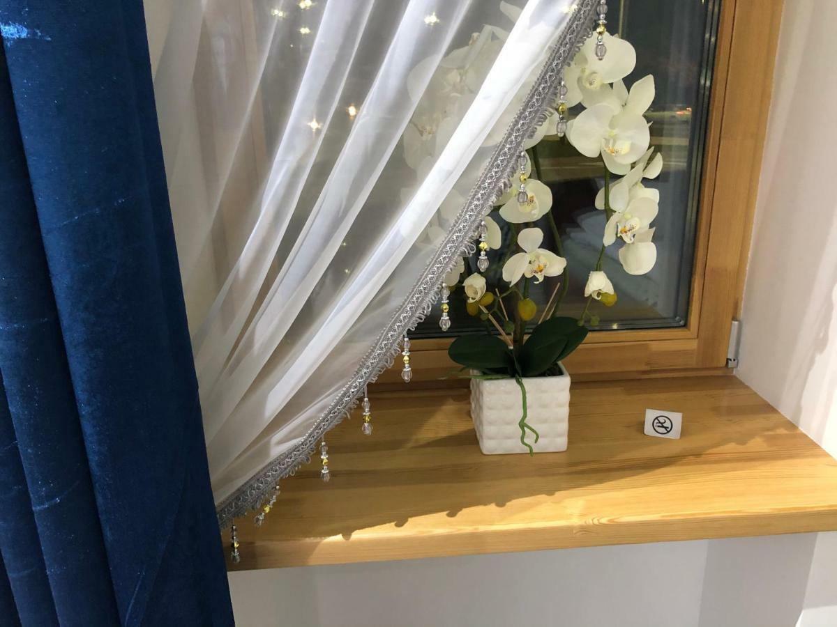Modern And Luxury Apartment In The Center Of קובנה מראה חיצוני תמונה