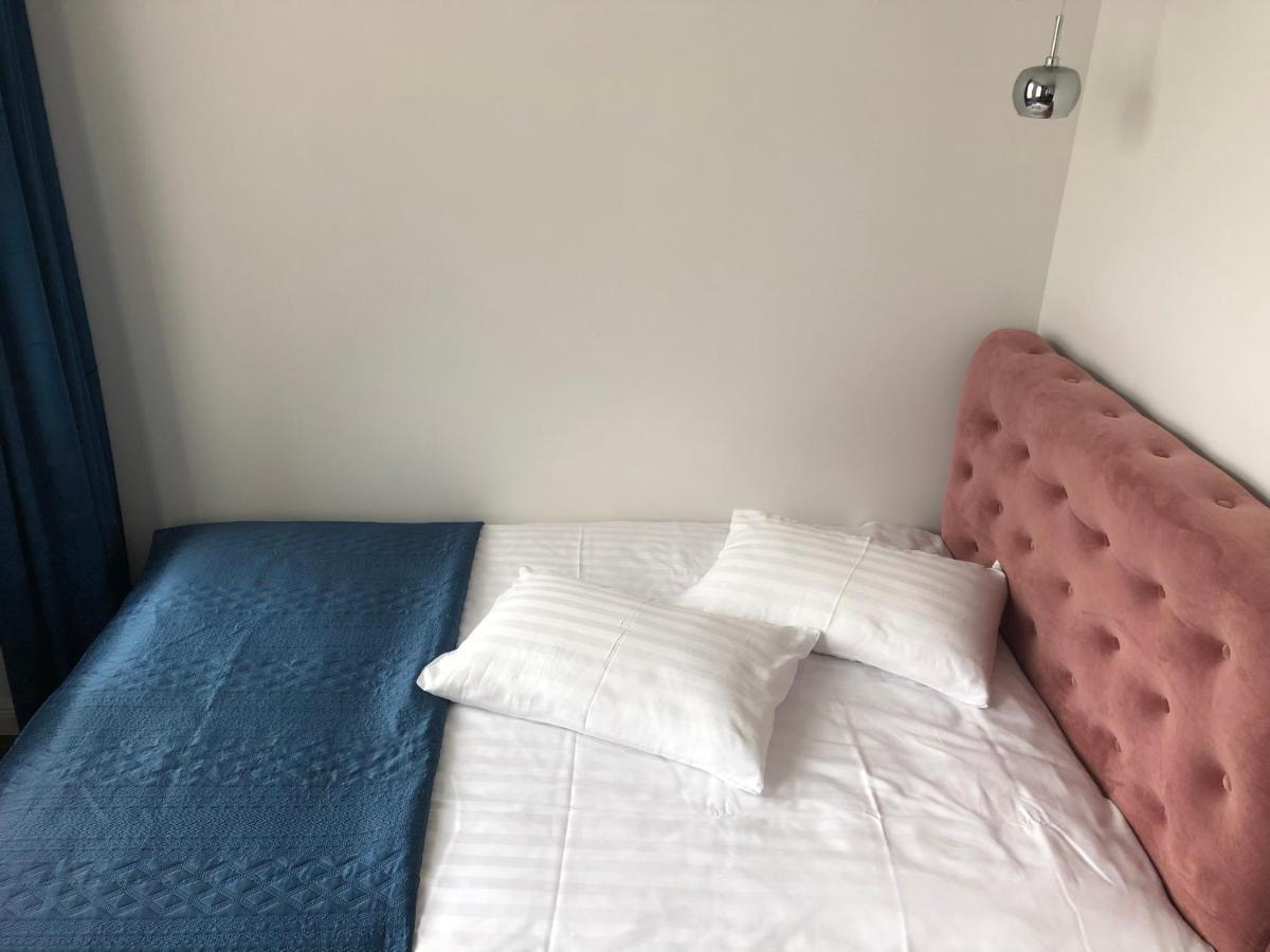 Modern And Luxury Apartment In The Center Of קובנה מראה חיצוני תמונה